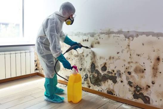 Big Horn Solutions remediation work